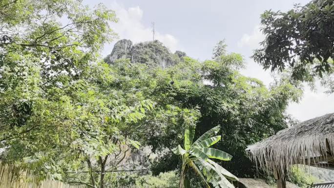广西夏日微风吹拂