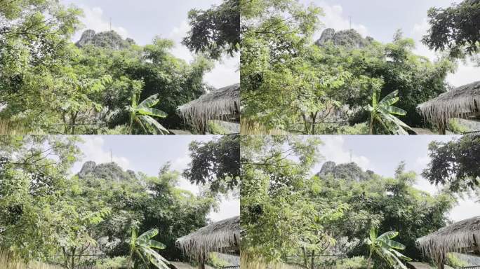 广西夏日微风吹拂