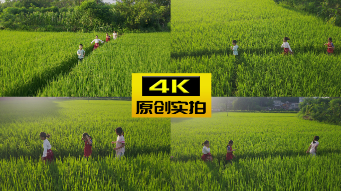儿童在田野里奔跑