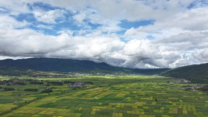 延时航拍秋日稻田玉米地风景