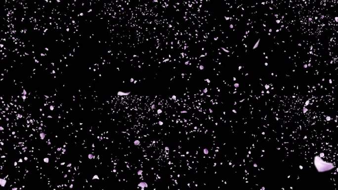 4K花瓣 透明通道 花瓣飘落花花瓣飞舞