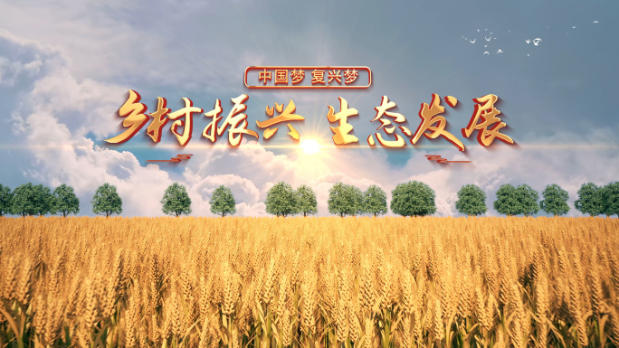 种子小麦水稻农业片头