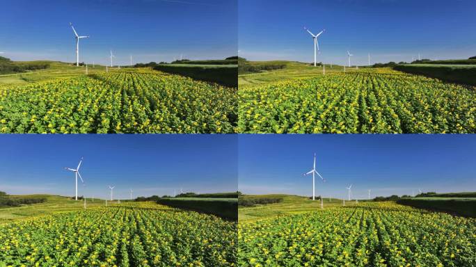 农田里风能风力发电场风车新能源