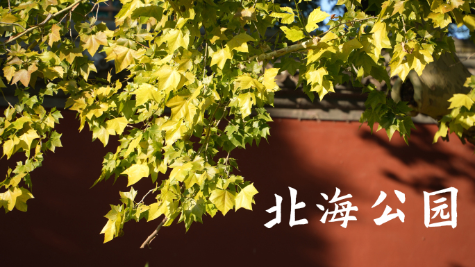 北京北海公园皇家园林升格空镜合集4k