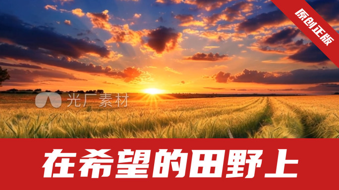在希望的田野上-田野 田地 农田