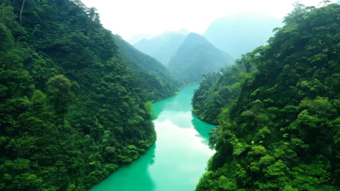 福建武夷山九曲溪漂流间的翠绿山水