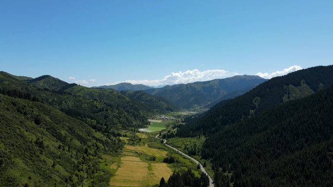 山顶风景