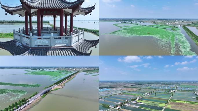 公安县崇湖国家湿地公园