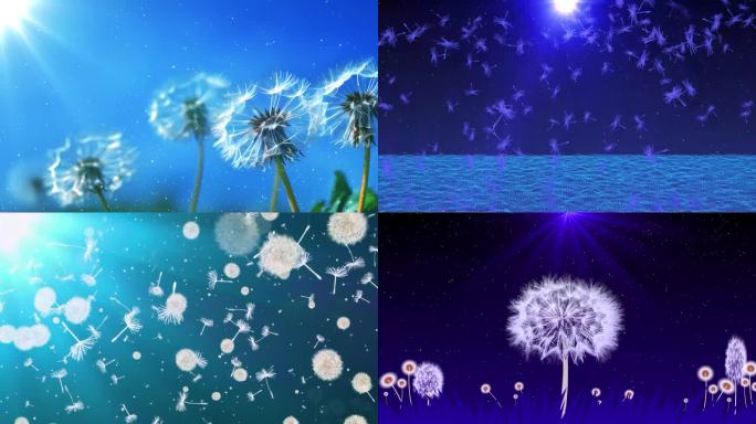 张碧晨年轮配乐唯美背景音画同步无音乐