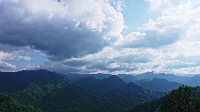 秦岭山水 森林