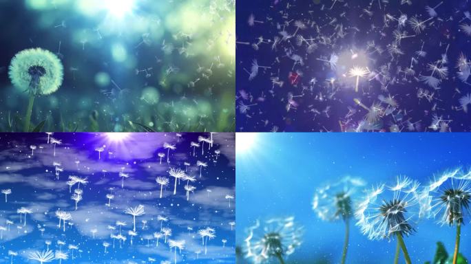 陶晶莹如果只有一夜配乐舞台背景无声版