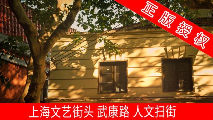 上海文艺街头 武康路 人文扫街