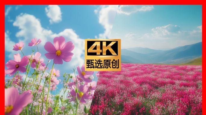 花海 唯美花海 小清新 山花