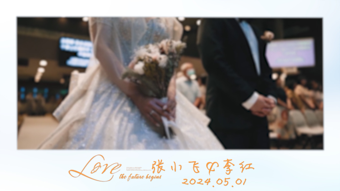PR模板婚礼花絮快剪