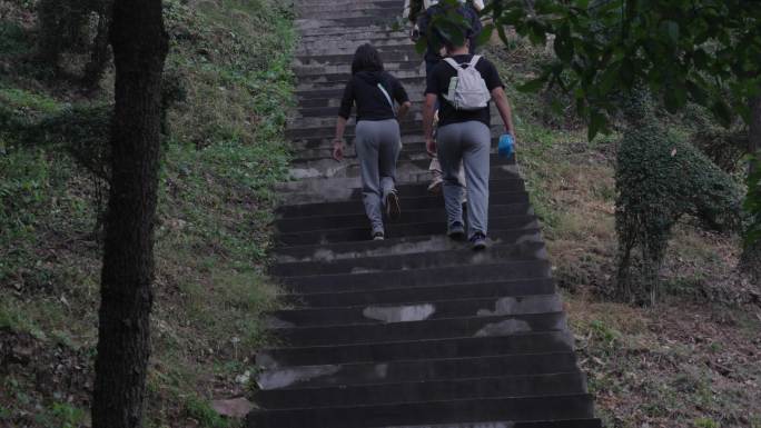 景区游客成群结队爬山