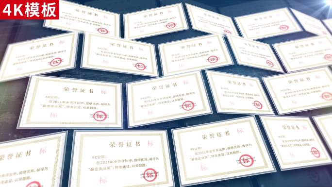 3-蓝色科技专利证书展示4K无插件