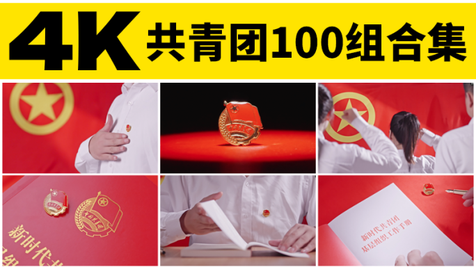 共青团五四青年节入团宣誓团员团徽红色团旗