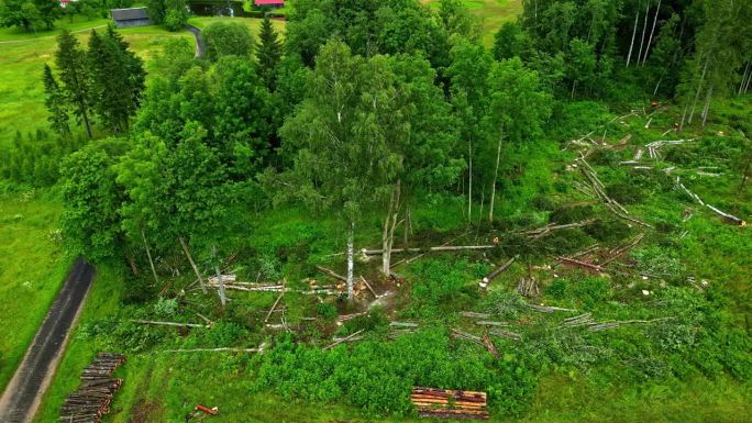 无人机在森林中砍伐树木，以制造家具和房屋的原材料