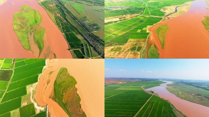 宁夏银川黄河麦田