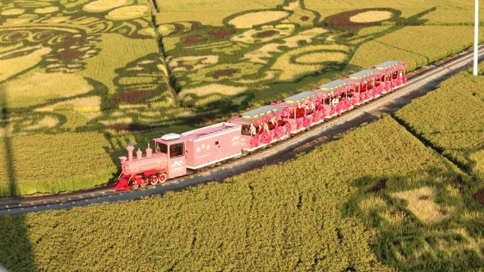 景区游览小火车