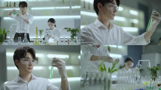 食品科研科技农业实验室绿色有机种子粮食