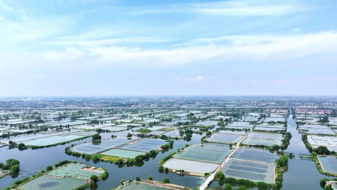 高淳固城湖：探秘中国最美蟹塘的水上仙境