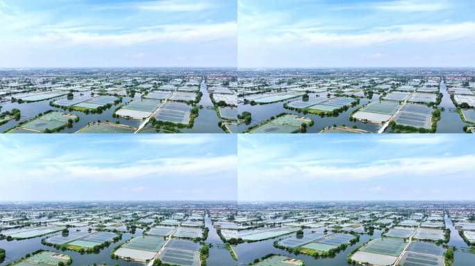 高淳固城湖：探秘中国最美蟹塘的水上仙境