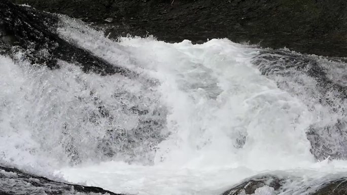 北海道东部，樱桃鲑鱼洄游上游