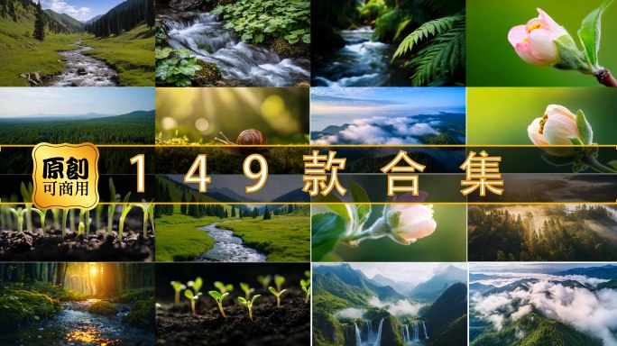 种子发芽春暖花开万物复苏原始森林四季风景
