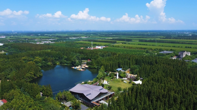 上海东平国家森林公园航拍