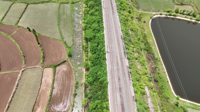 河南 农田里的好风光