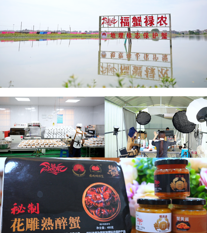 《固城湖《福蟹禄农》：蟹塘到餐桌的旅程》