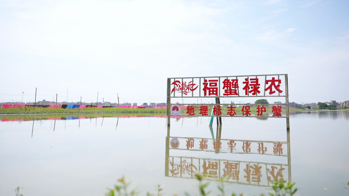 《固城湖《福蟹禄农》：蟹塘到餐桌的旅程》