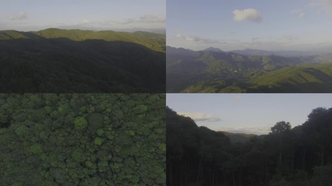 俯瞰群山俯瞰森林连绵山脉群山山峰俯瞰梯田