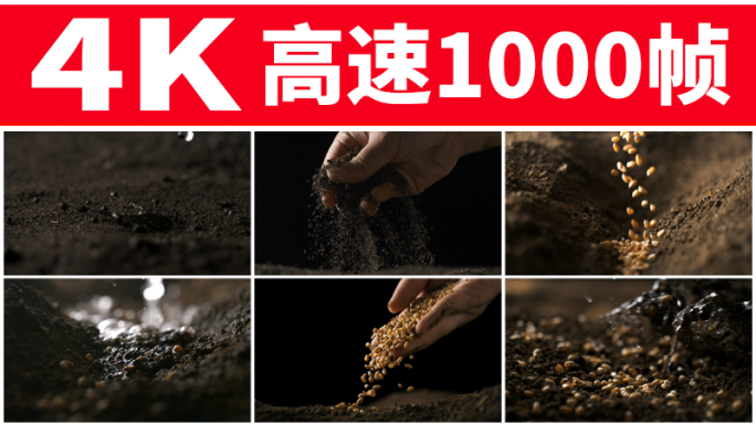 黑土地播种土壤种子东北肥沃土地雨滴小麦