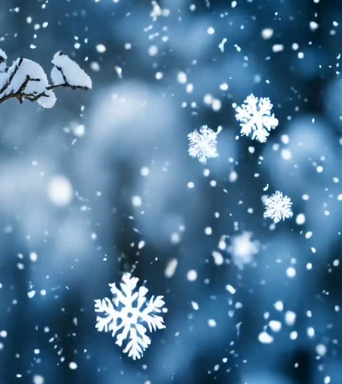 冬天唯美雪花静静飘落