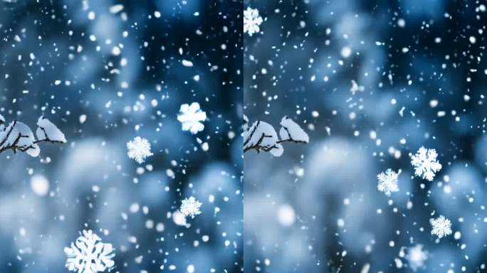 冬天唯美雪花静静飘落