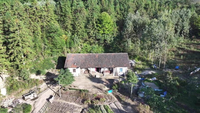大山里的一户人家 山里的老房子