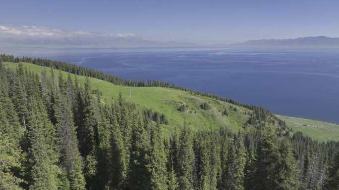 新疆赛里木湖松树头科尔古琴山自然风光航拍