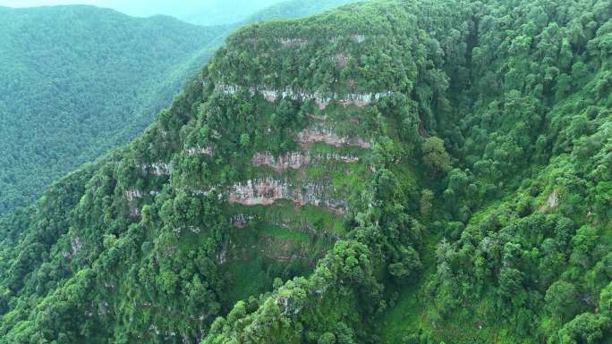 石碑山森林航拍