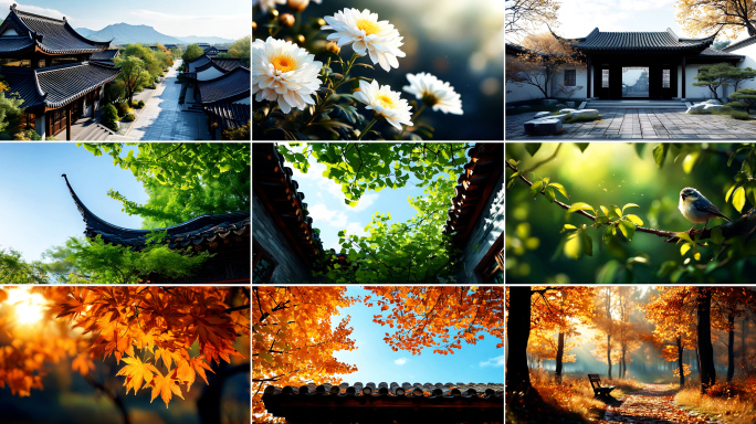 重阳节重阳登高菊花枫林