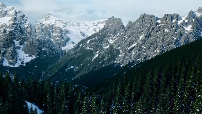 西班牙皮科斯德欧洲山脉的雪峰与森林相连