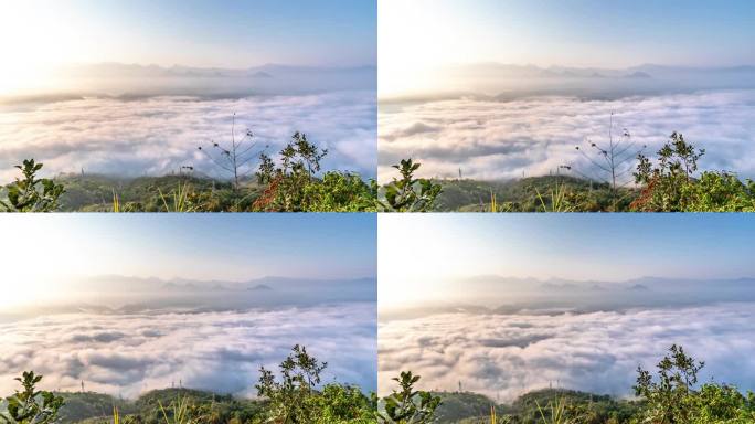 重庆南川：初秋晨雾“妆”山村