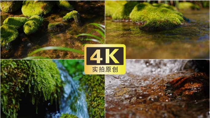 小溪 河流  山泉水 生态  苔藓