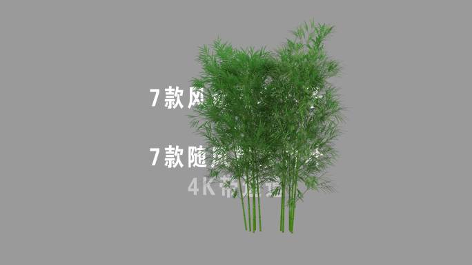 竹叶竹子合集