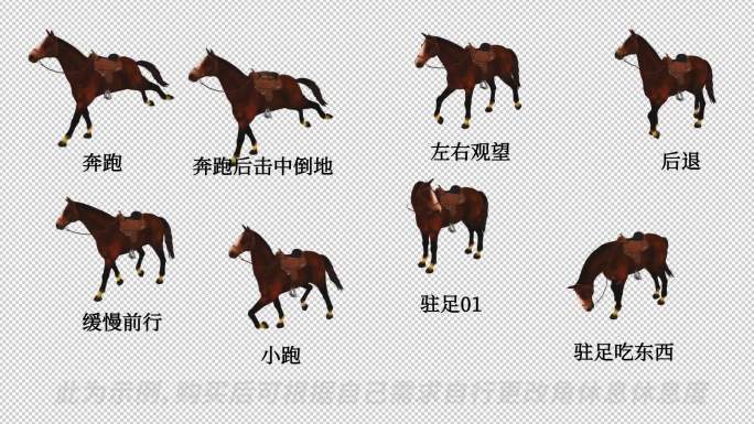 AE自由调整动物模型系列_《马_03》