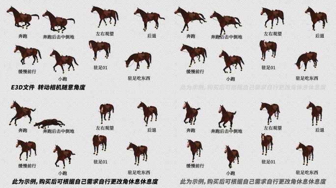 AE自由调整动物模型系列_《马_03》