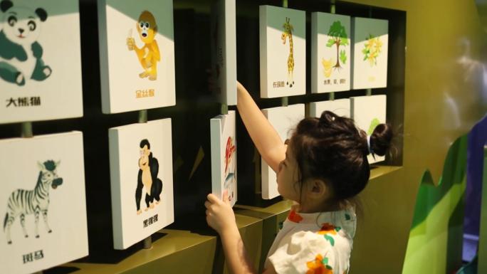 反转板认识动物