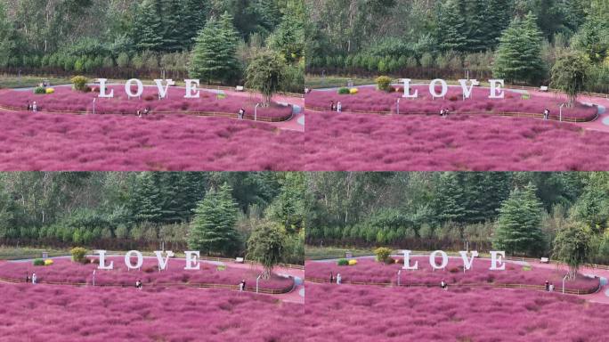 三门峡虢都花海