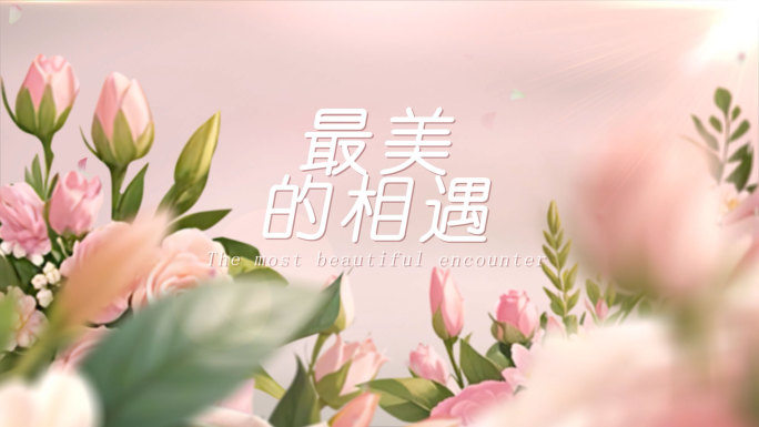 手绘花朵照片相册片头